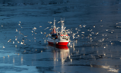 BATEAUX DE PÊCHE